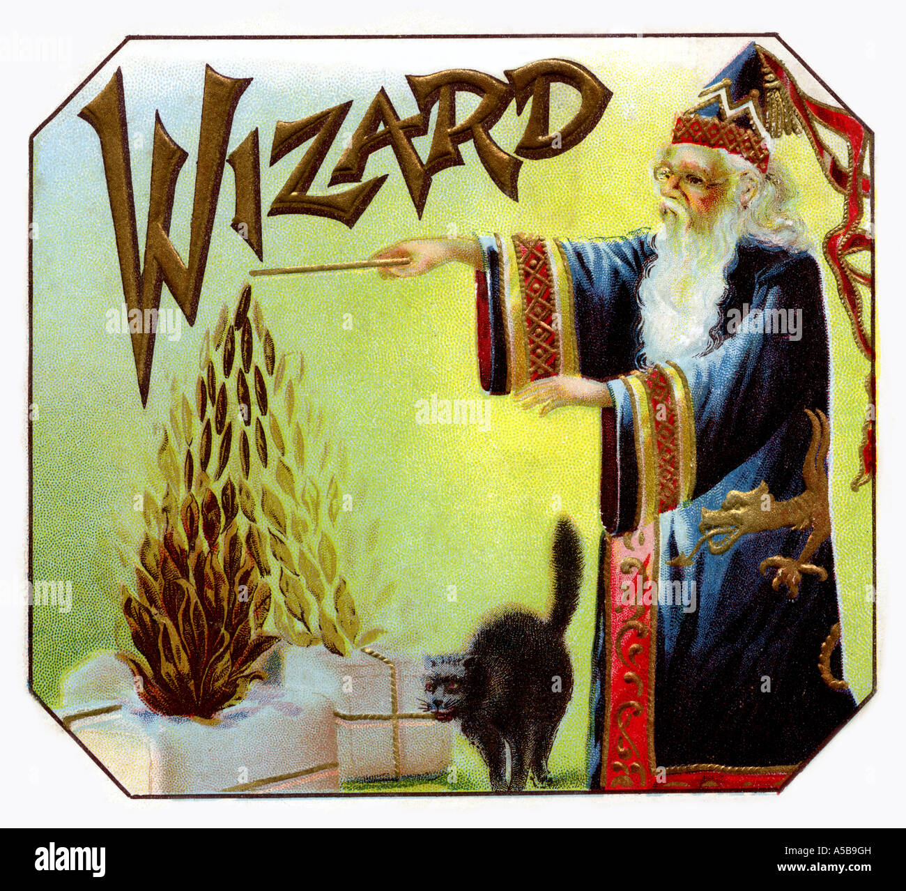 Wizard Stock Photo