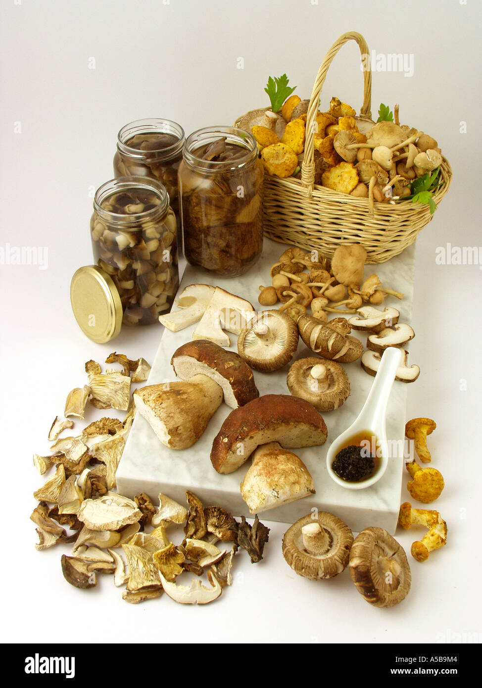 Assorted edible mushrooms Stock Photo - Alamy
