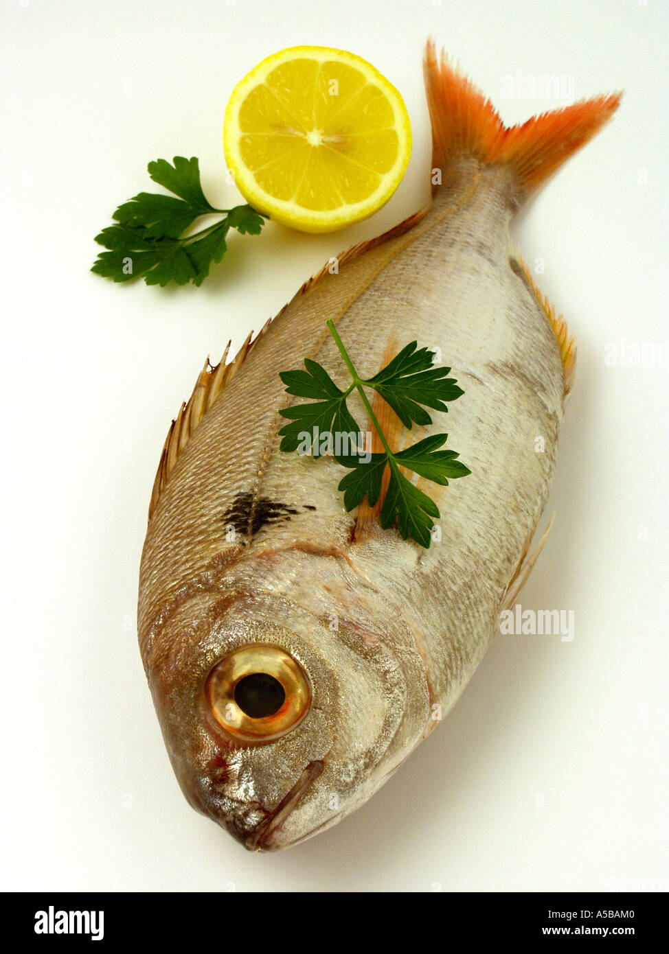 Pink sea bream hi-res stock photography and images - Alamy