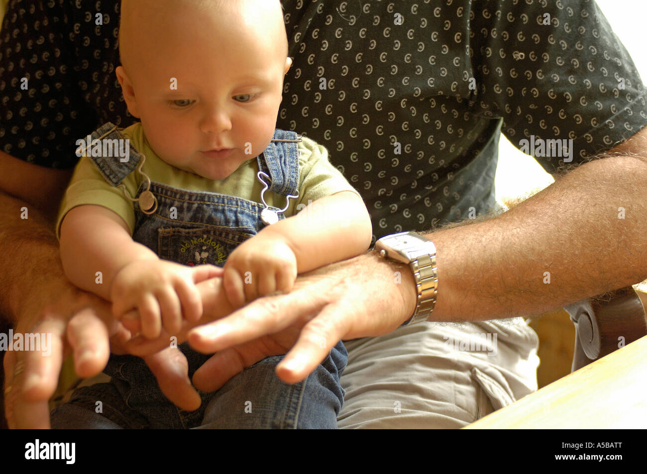 Cute baby on dad's lap, holding fingers Stock Photo Alamy