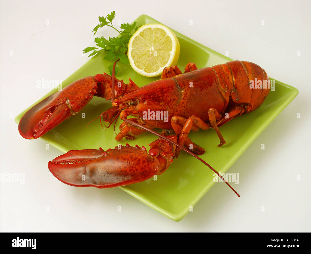 Lobster ocean hi-res stock photography and images - Alamy