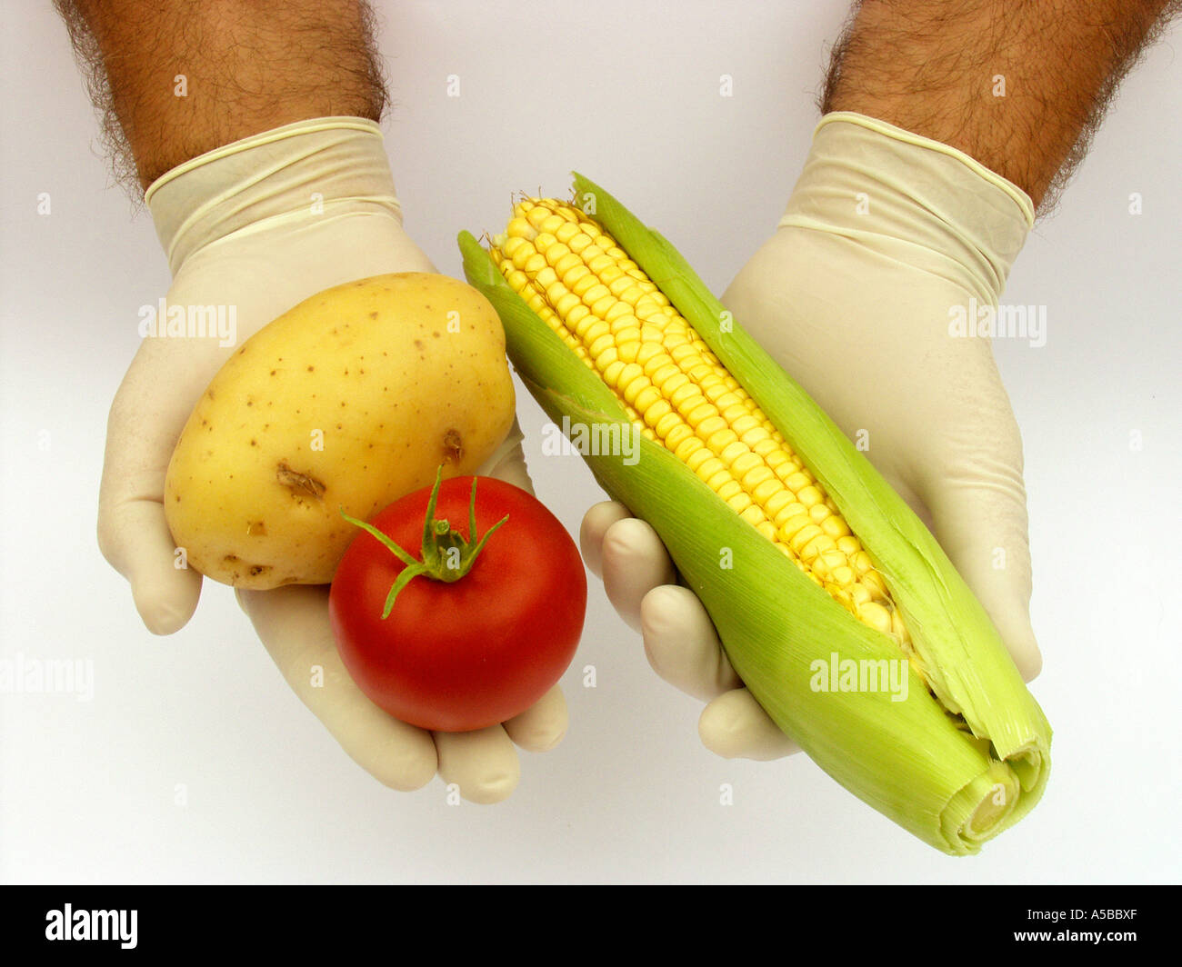 Genetically modified food Stock Photo