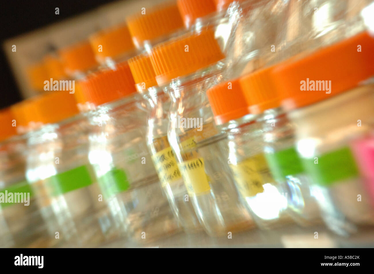 Glass bottles in laboratory Stock Photo Alamy