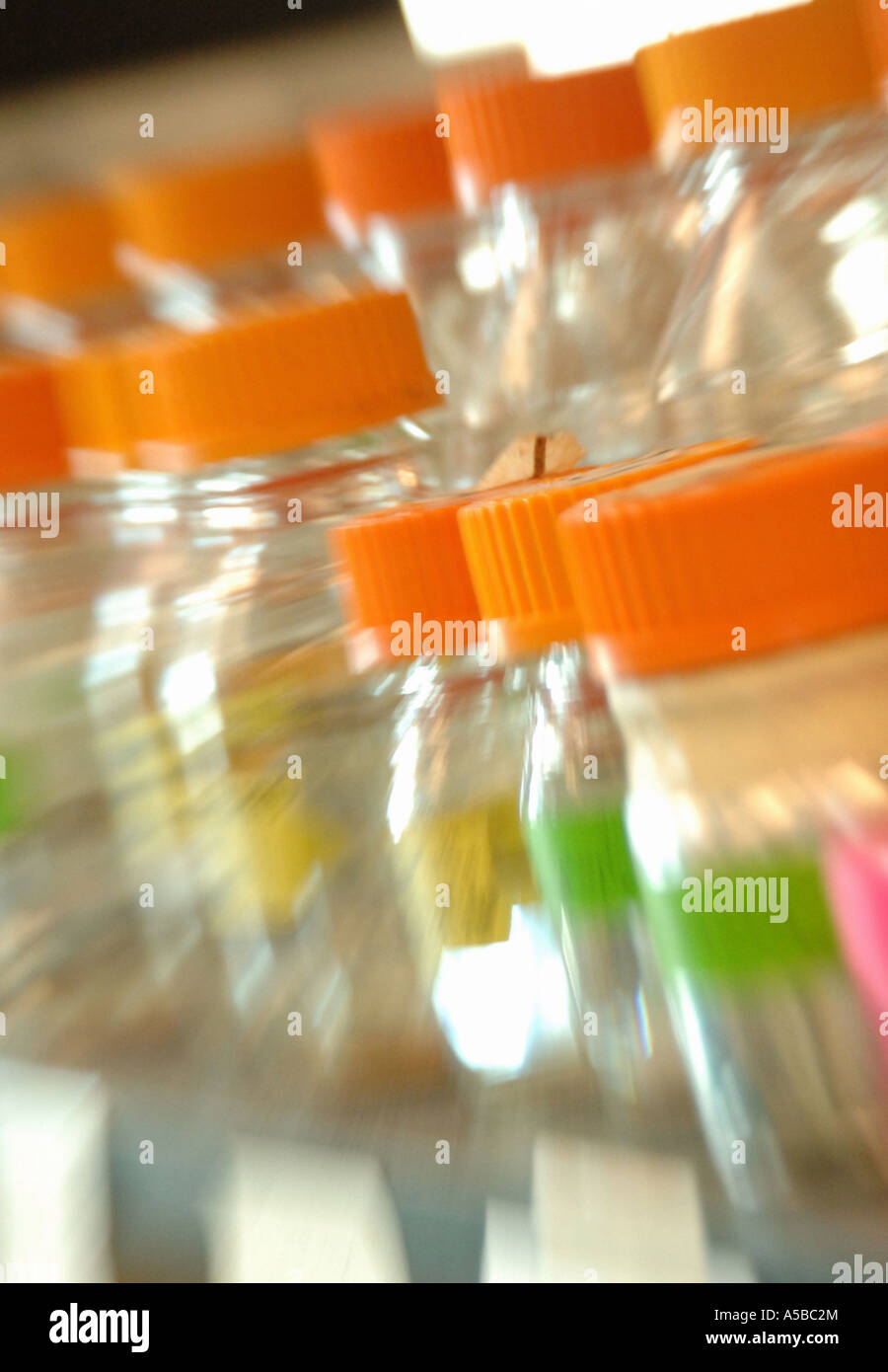 Glass jars in research lab Stock Photo Alamy