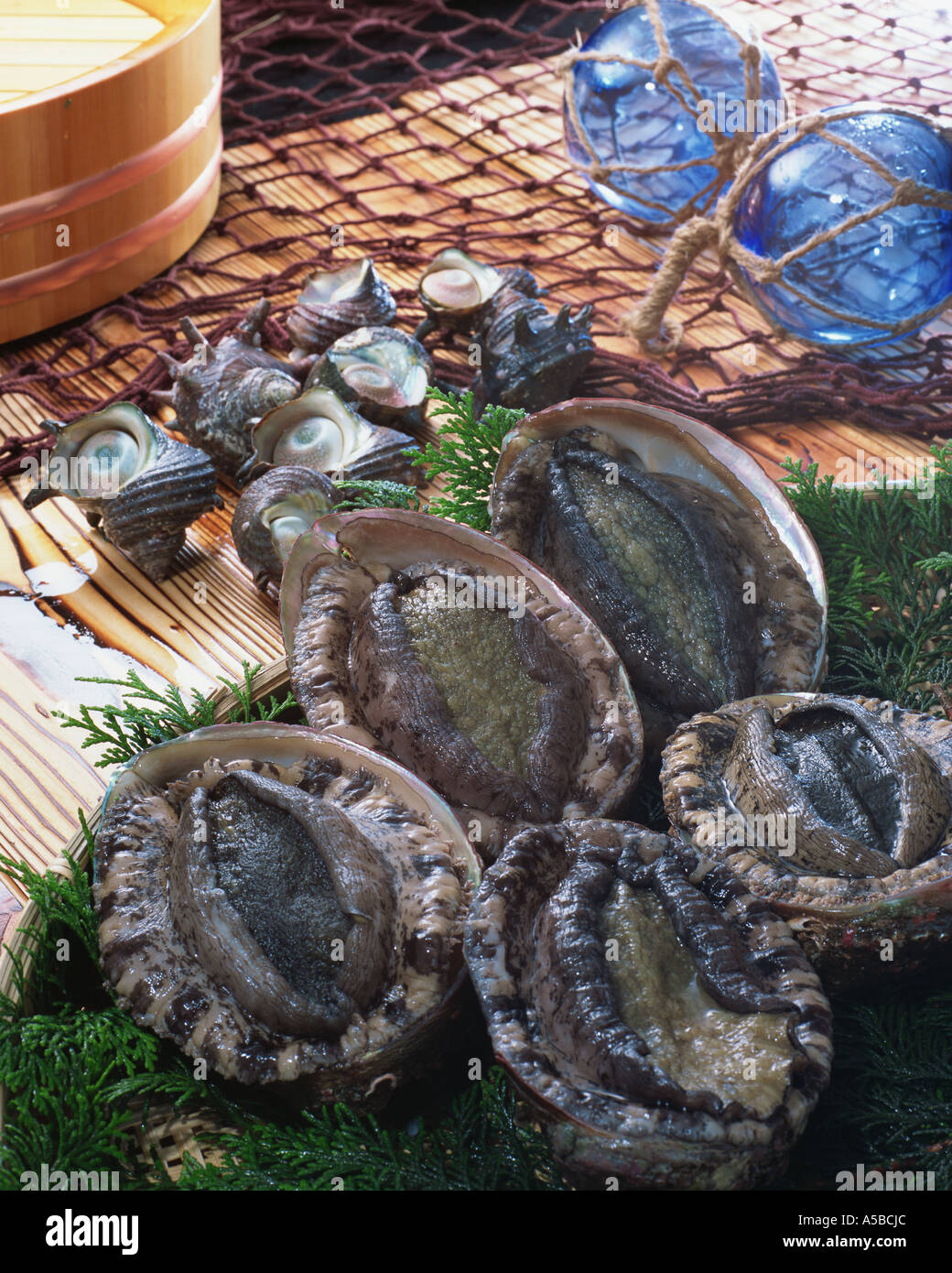 Abalone shellfish shell fish hires stock photography and images Alamy
