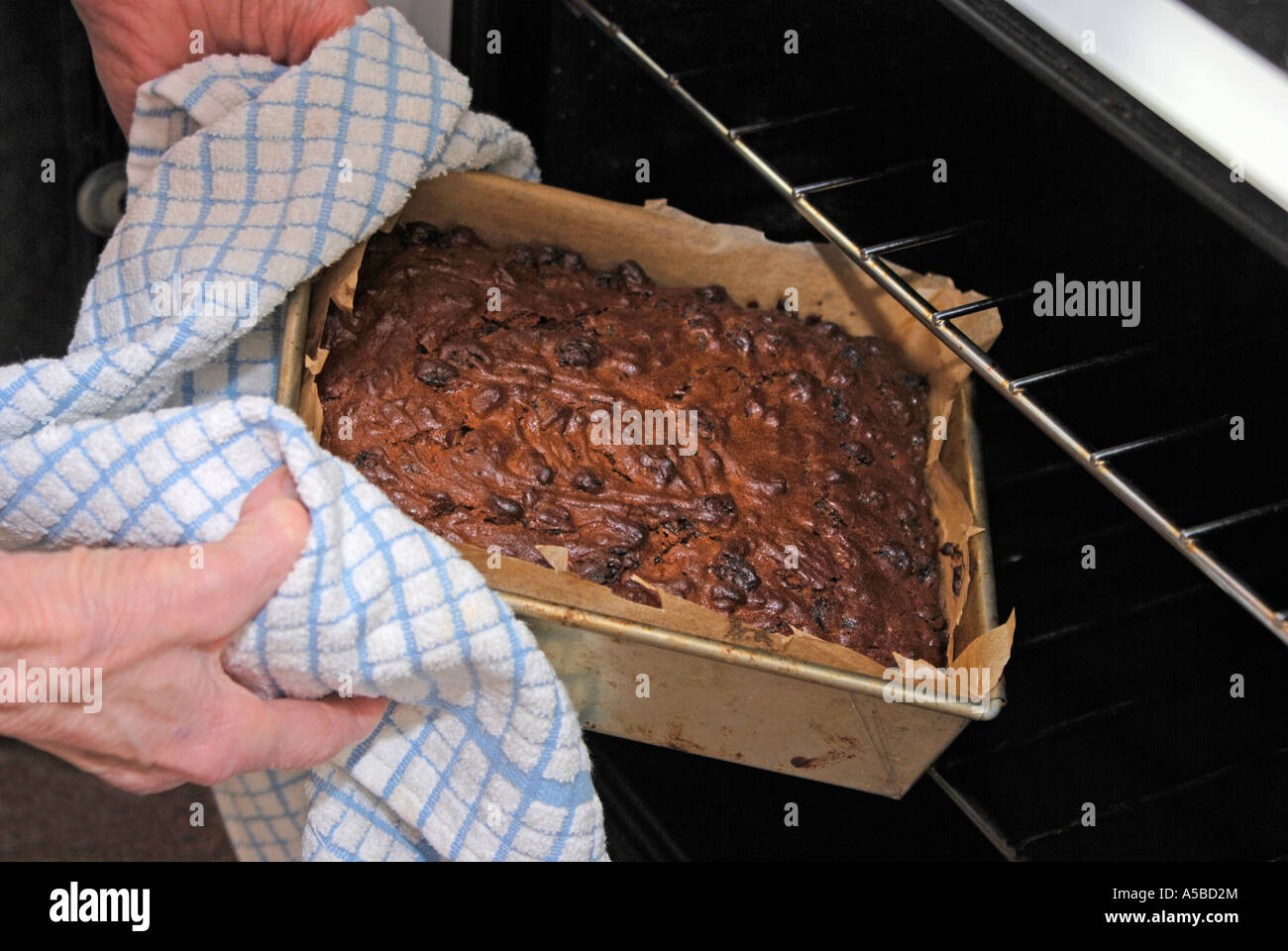 elderly woman taking freshly baked fruit cake out of oven Stock Photo