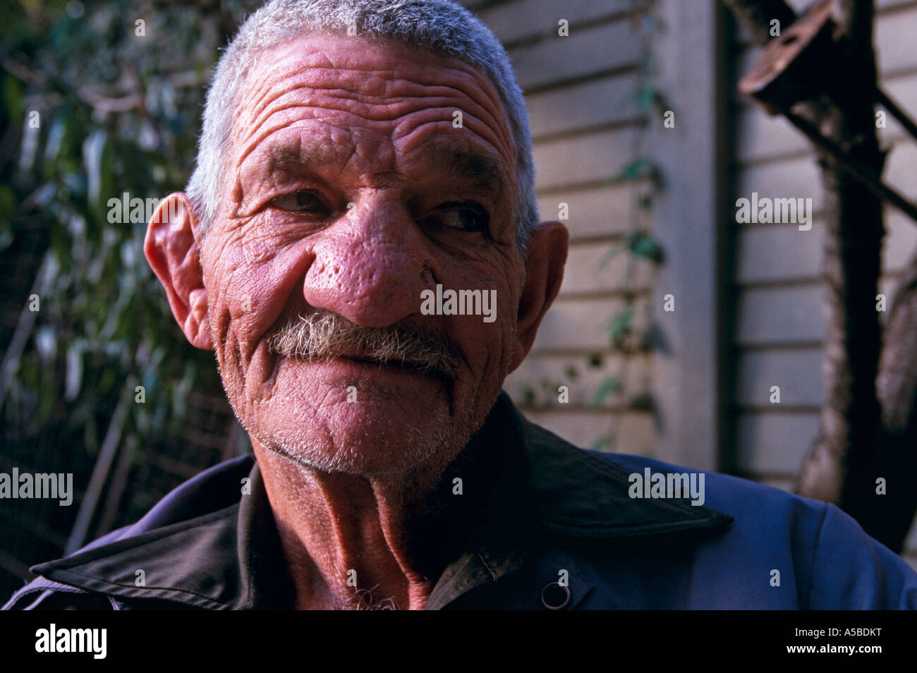 Portrait of elderly man, South Africa Stock Photo Alamy