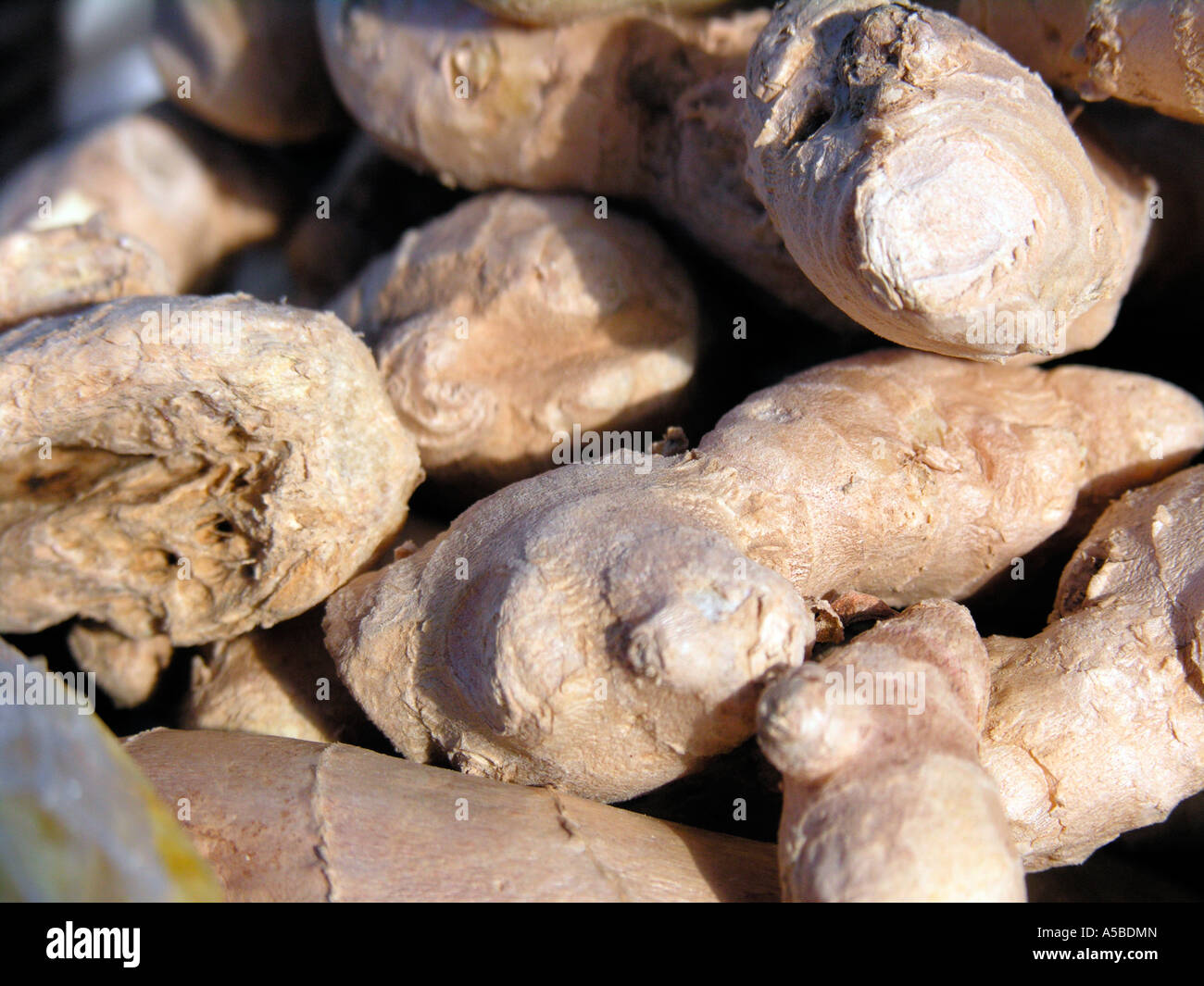 Preventing pregnancy hires stock photography and images Alamy