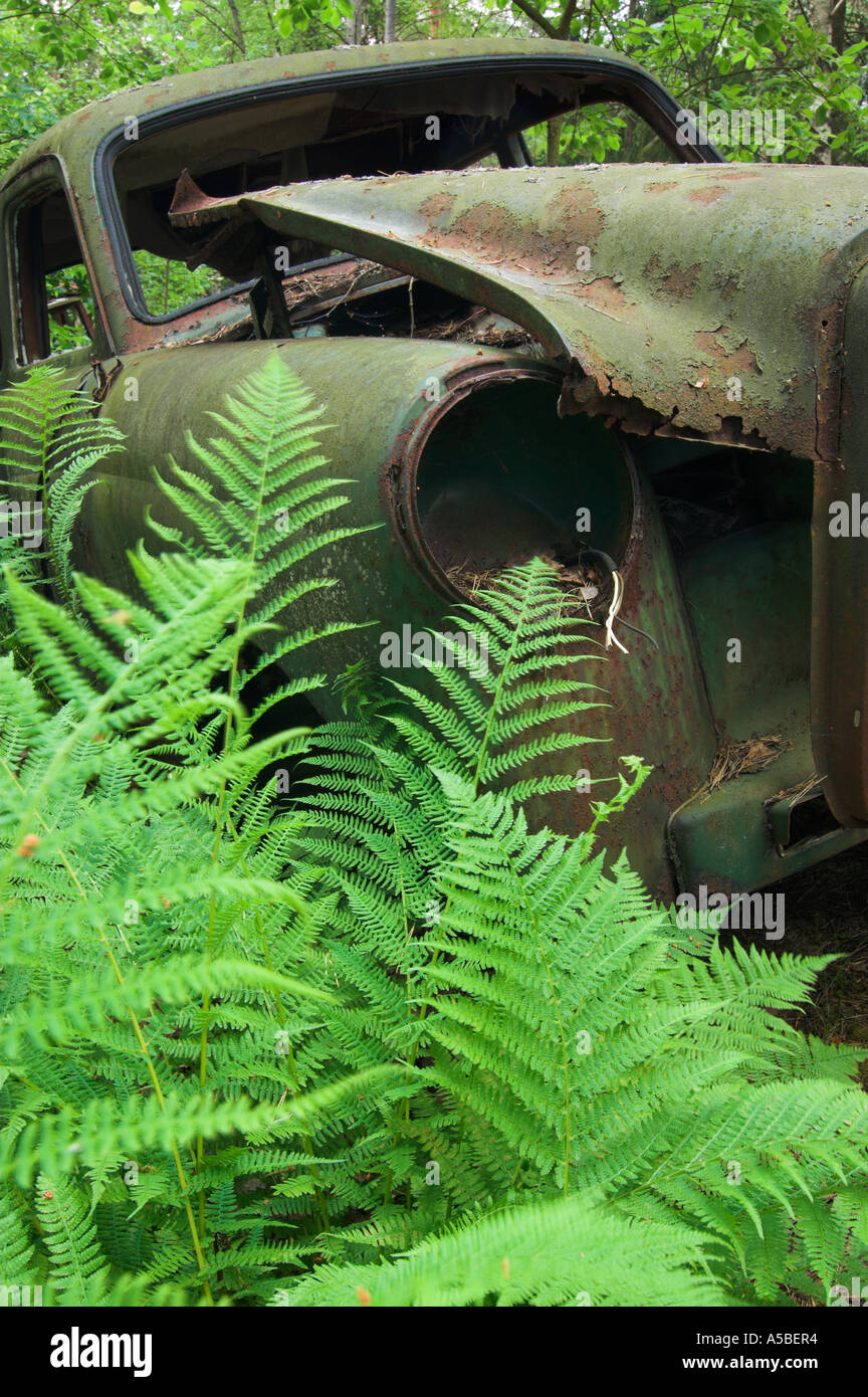 Abandoned vehicles woods hi-res stock photography and images - Alamy