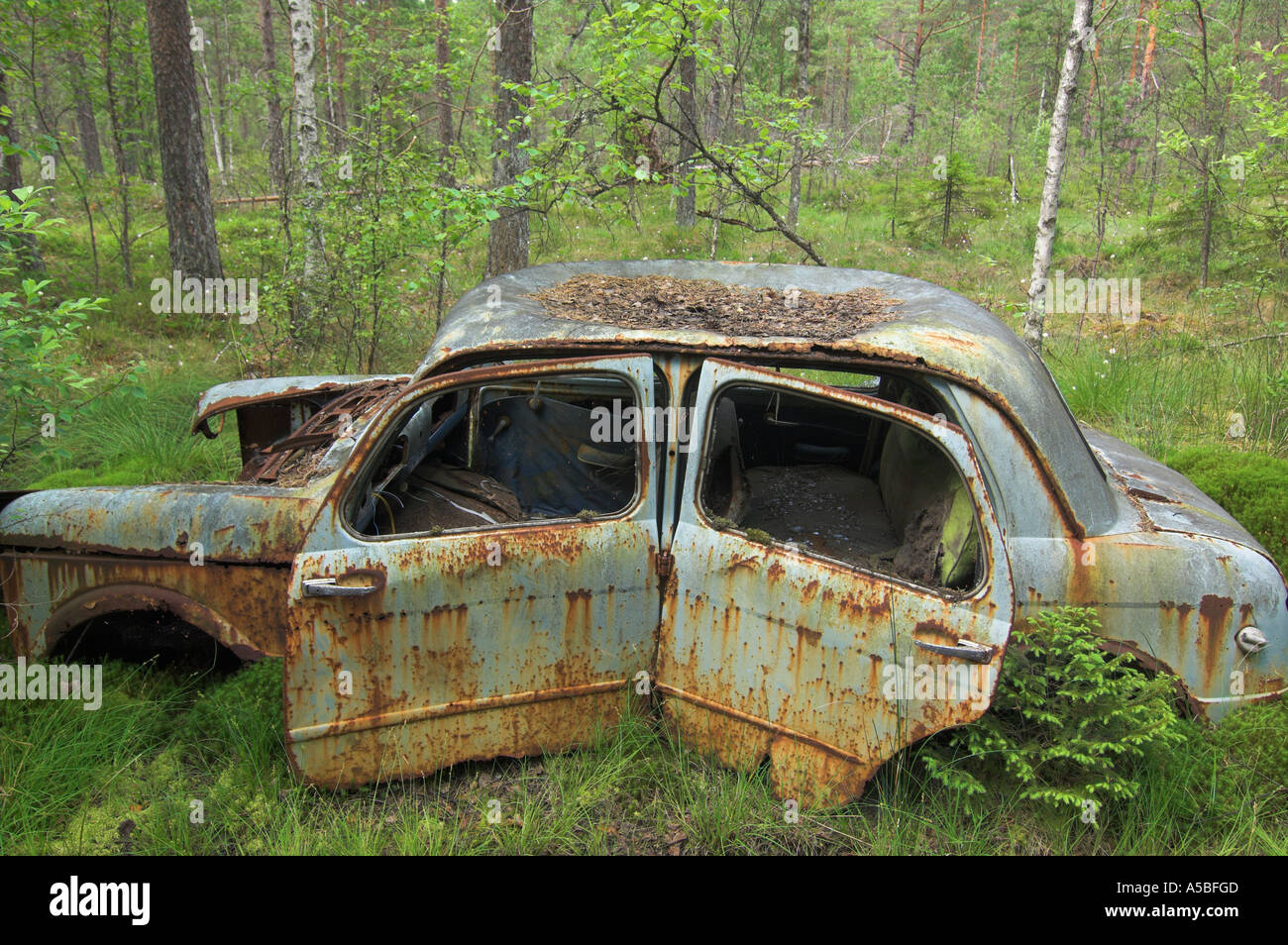 Abandoned vehicles woods hi-res stock photography and images - Alamy