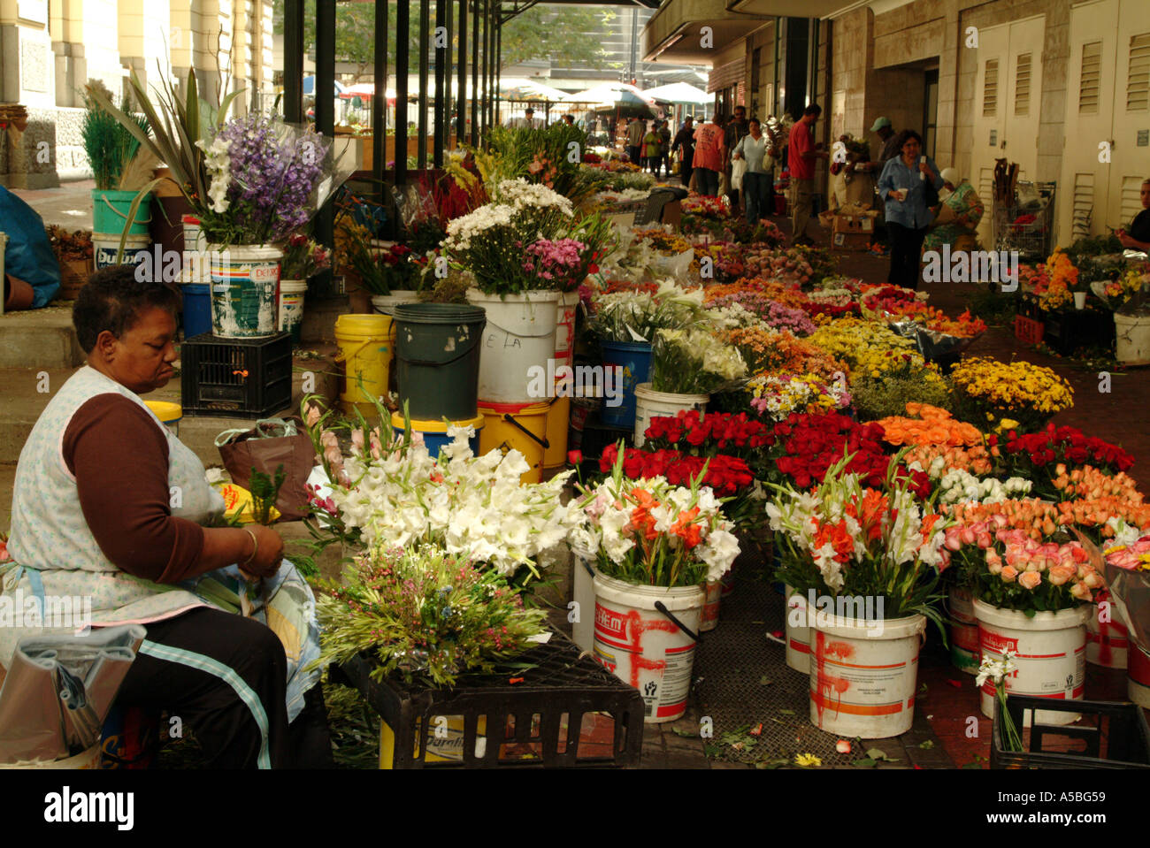 Flower market on Adderley Street city centre Cape Town South Africa RSA