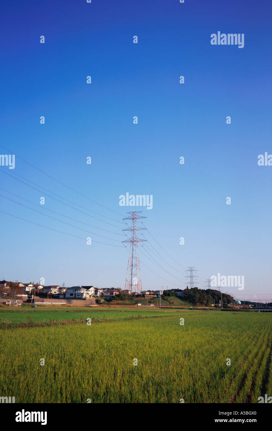 Electricity pylon in field Stock Photo