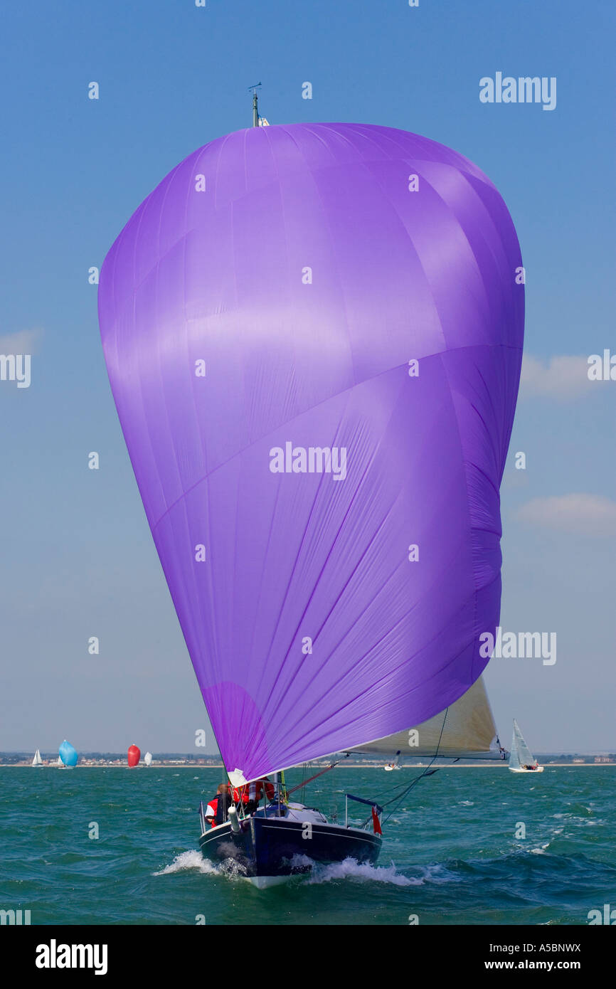 A yachts racing with purple spinnaker raised and full of wind Stock Photo