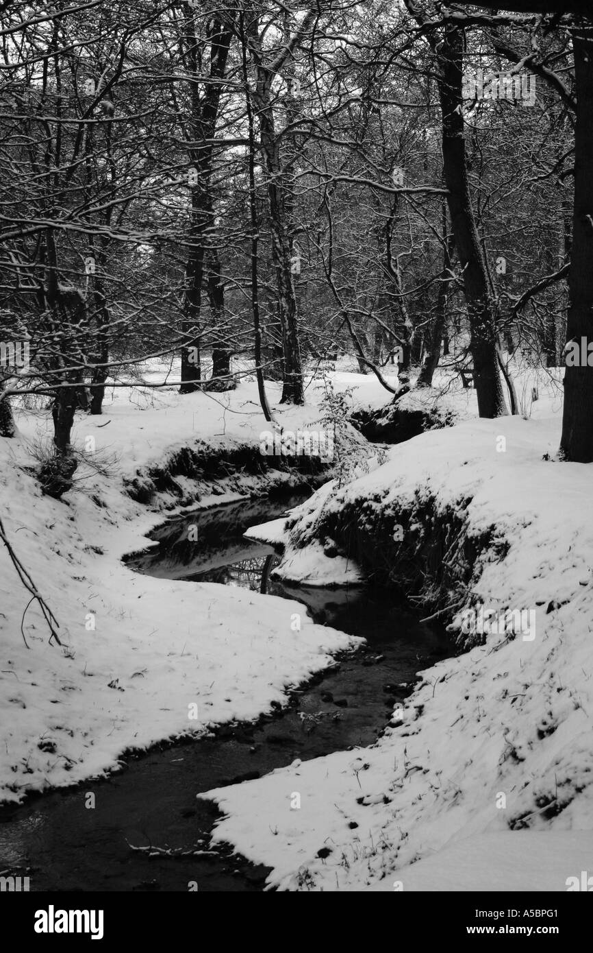 Winter forest and river Stock Photo - Alamy