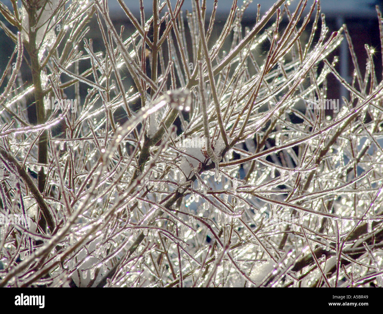 ICE STORM , GLOBAL WARMING Stock Photo