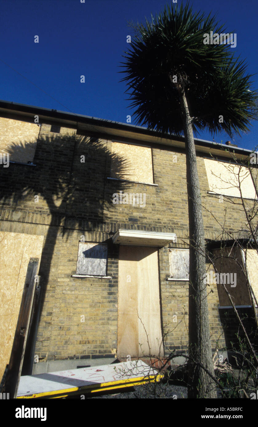 Nunhead South East London Empty home with palm trees England Stock Photo