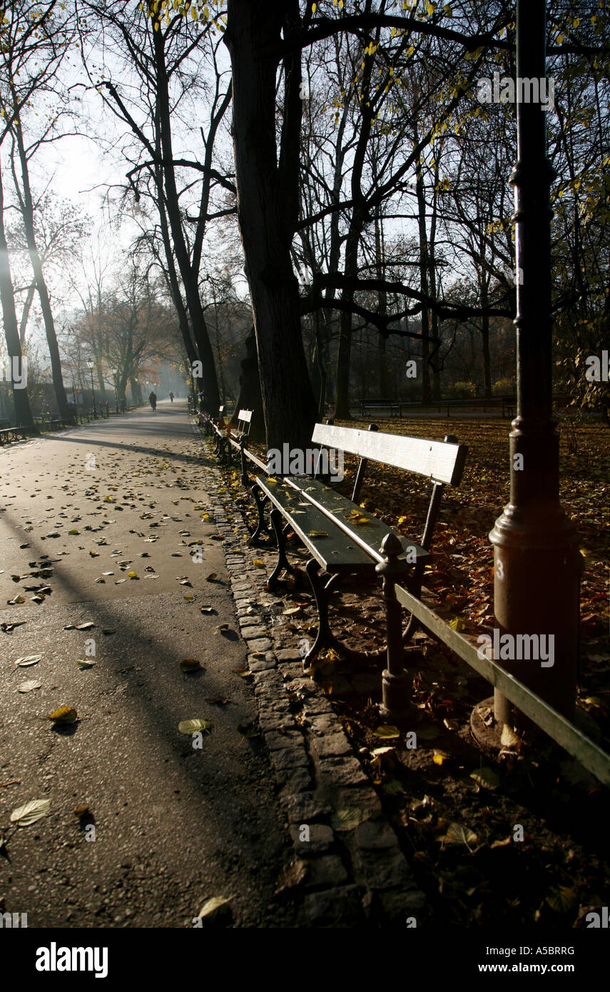Park bench in the distance hi-res stock photography and images - Alamy