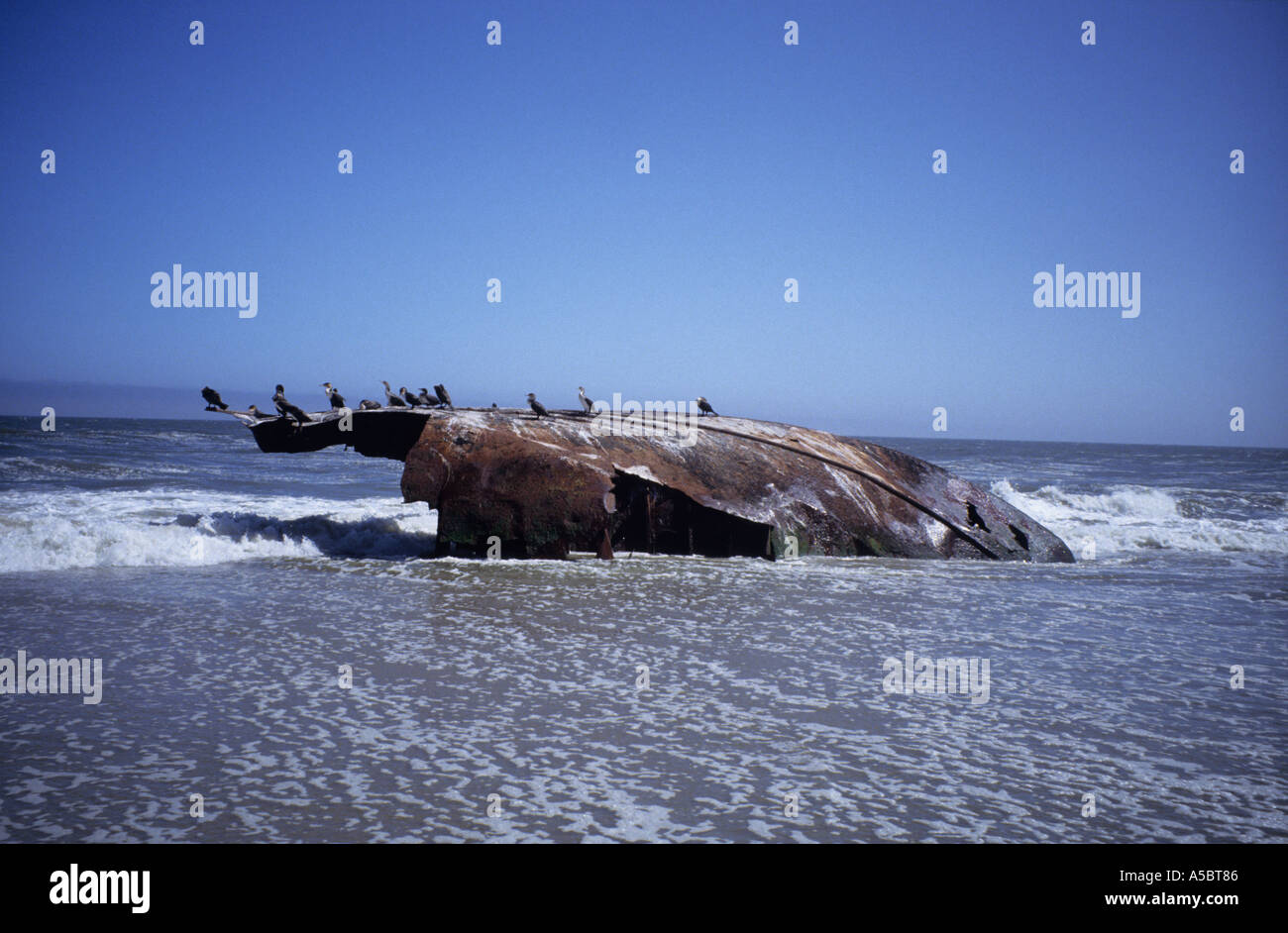 Wreck of the Winston with cormorants on the remote northern Skeleton Coast, Namibia, South West Africa Stock Photo