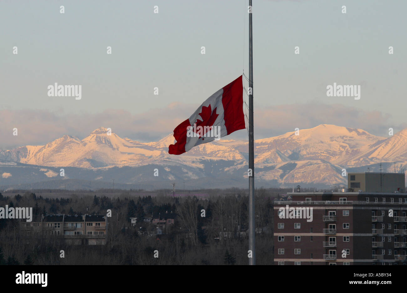 Canadian Flag; half mast Stock Photo Alamy