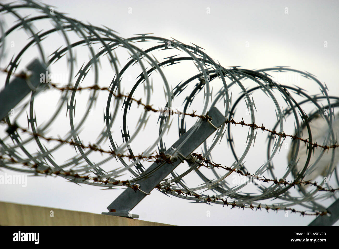 Razor wire injury hires stock photography and images Alamy