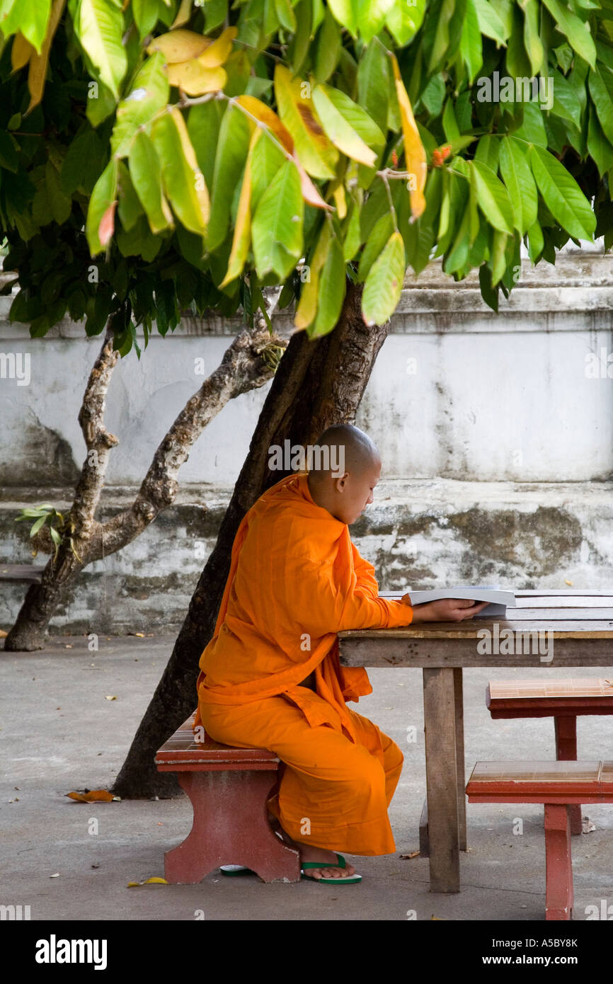 Monk Reading Under a Tree Wat Saen Vat Sene Luang Prabang Laos Stock Photo