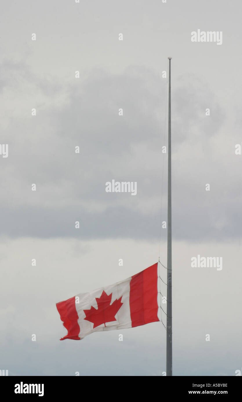 Canadian Flag; half mast Stock Photo Alamy