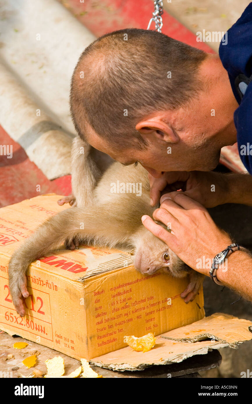 Man Providing Health Care to Local Pet Monkey Luang Prabang Laos Stock Photo