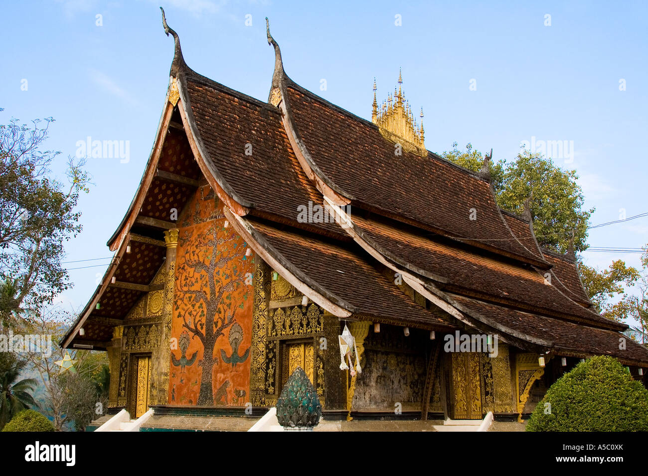 Xieng Tree Buddhist tree ordination hi-res stock photography and images - Alamy