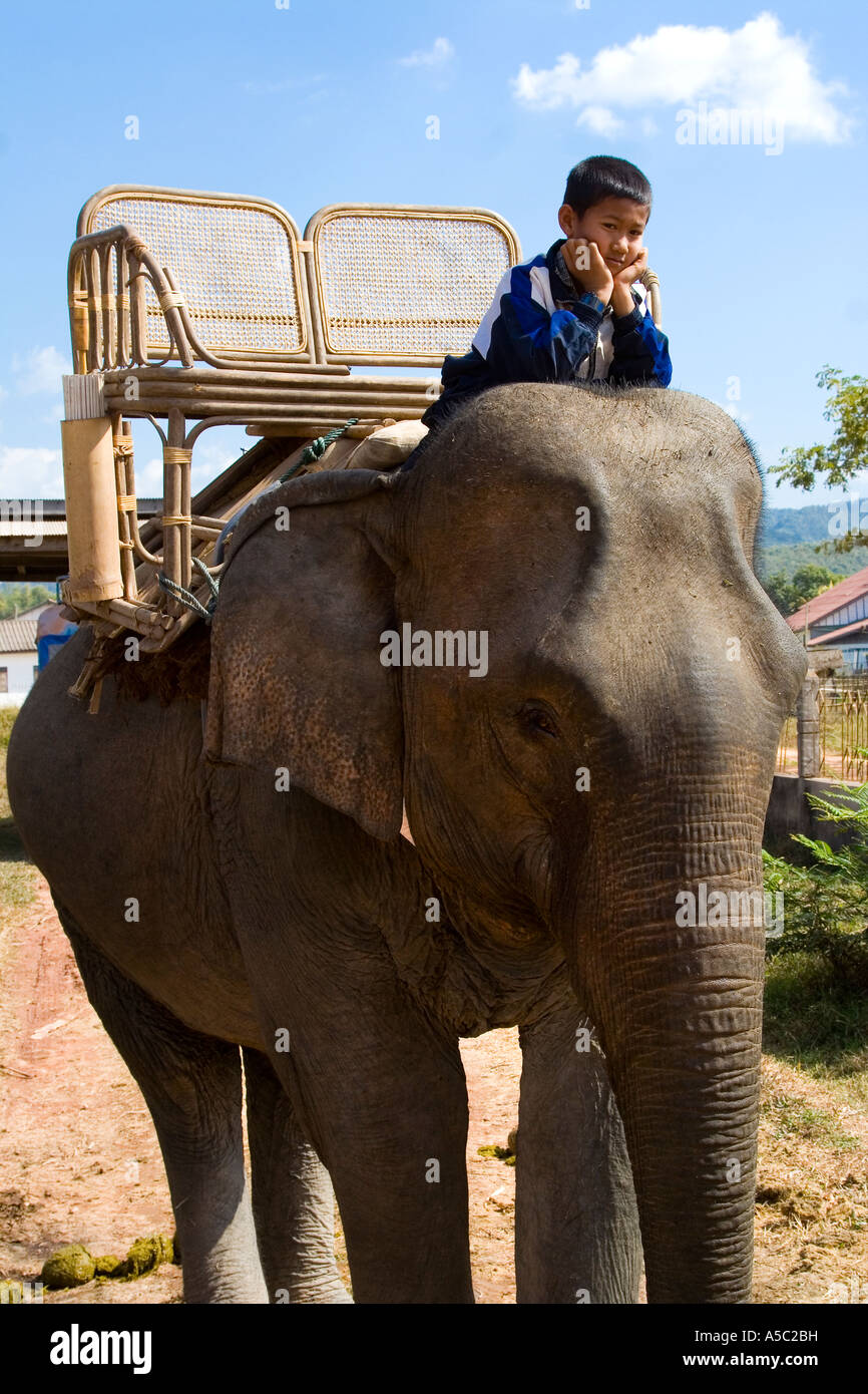 Boy riding elephant hires stock photography and images Alamy