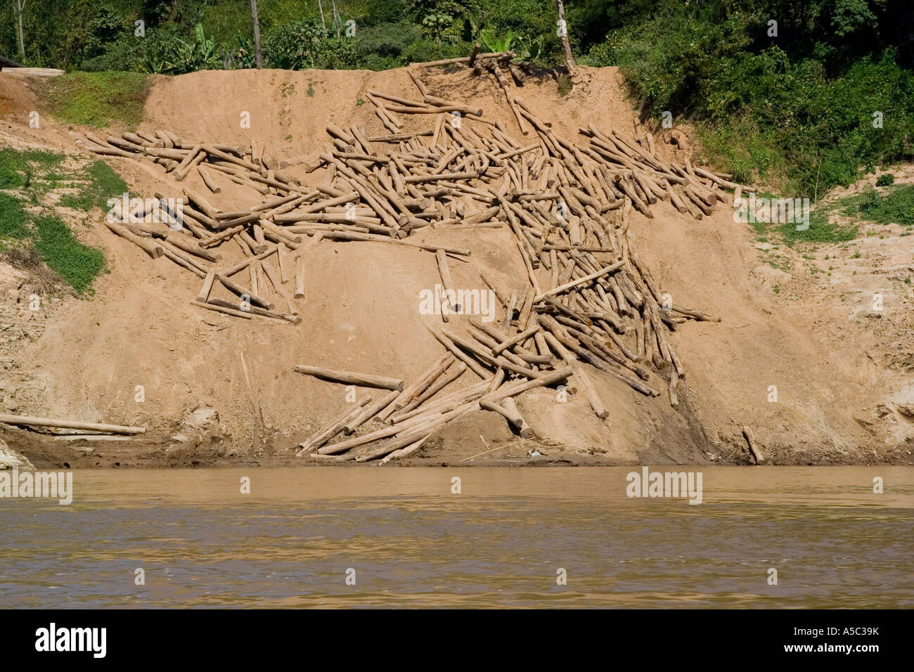Logs to be Floated Downstream Pak Beng Laos Stock Photo