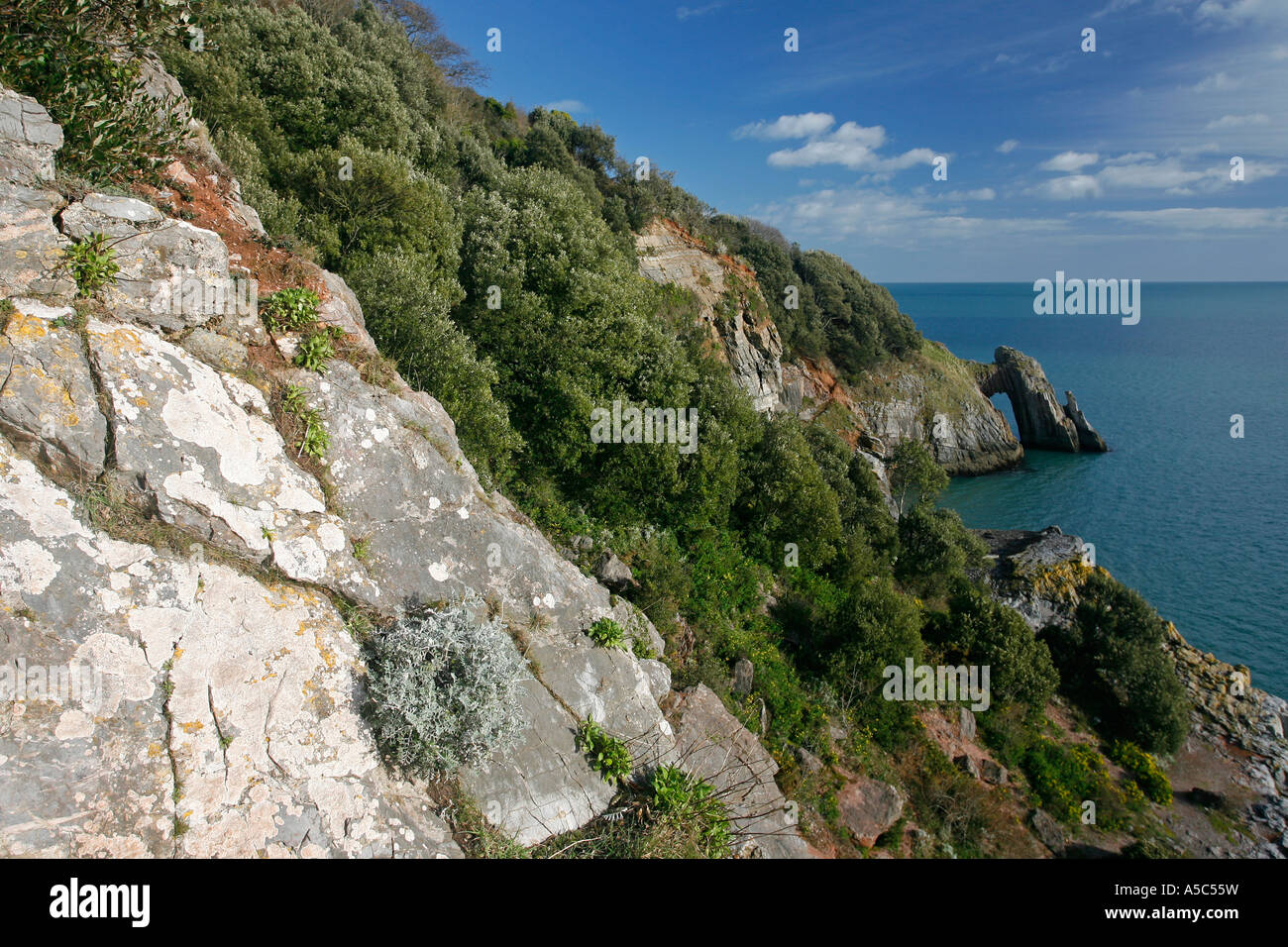 Rock formation known as London Bridge Rock End Torquay Devon England UK Stock Photo Alamy
