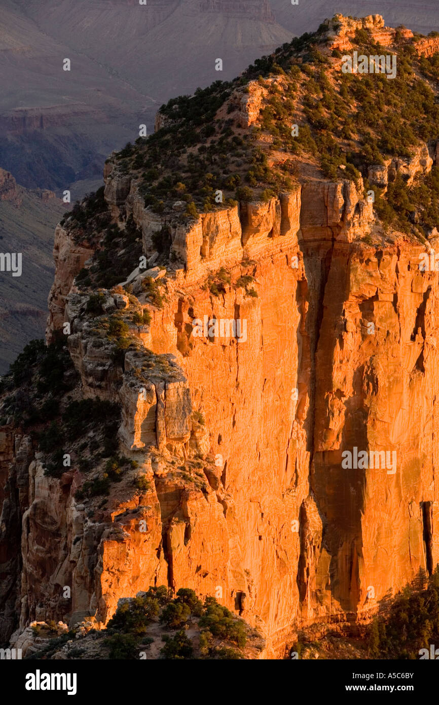 Golden Sunset at the North Rim of the Grand Canyon, Arizona Stock Photo