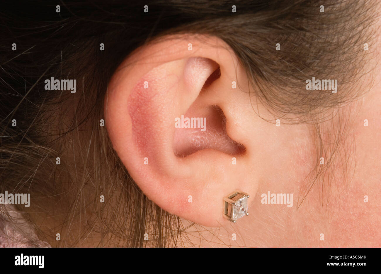 Decorative studs hi-res stock photography and images - Alamy