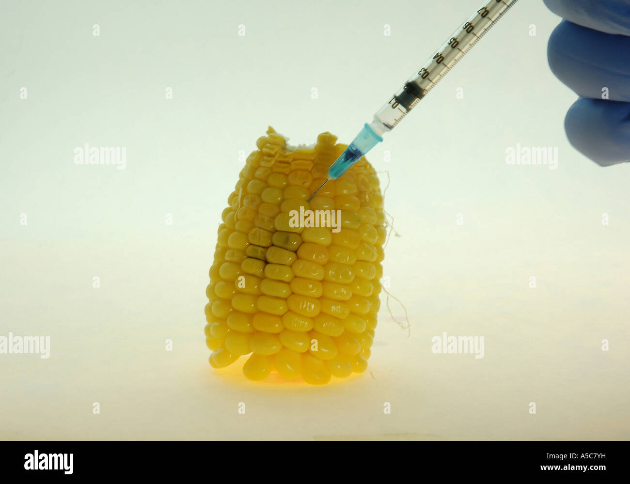 conceptual image on high tech agriculture Injecting bio ingredient into ...