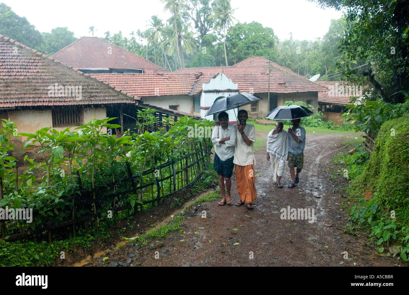 Indian vanilla farmers who harvest Fairtrade vanilla Stock Photo Alamy