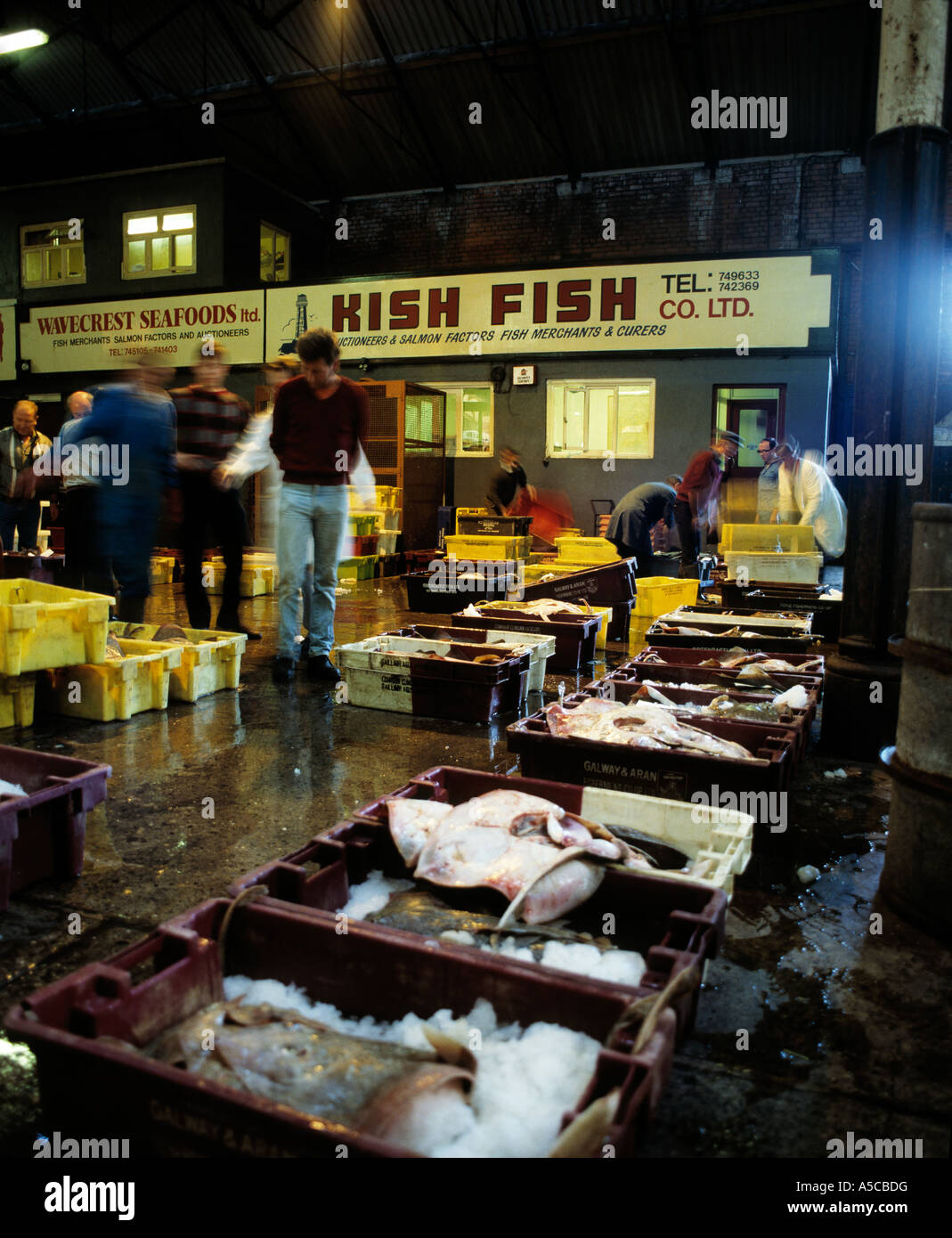 dublin original fish market, fish boxes on display with sea fish for