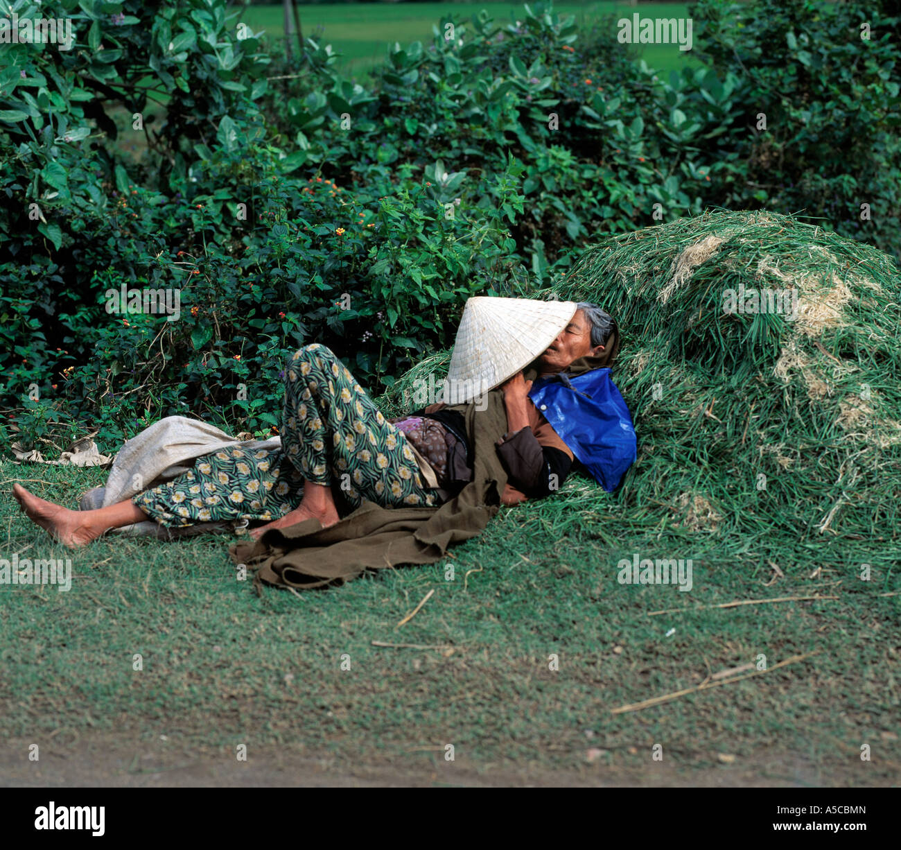 vietnamese lying down Stock Photo