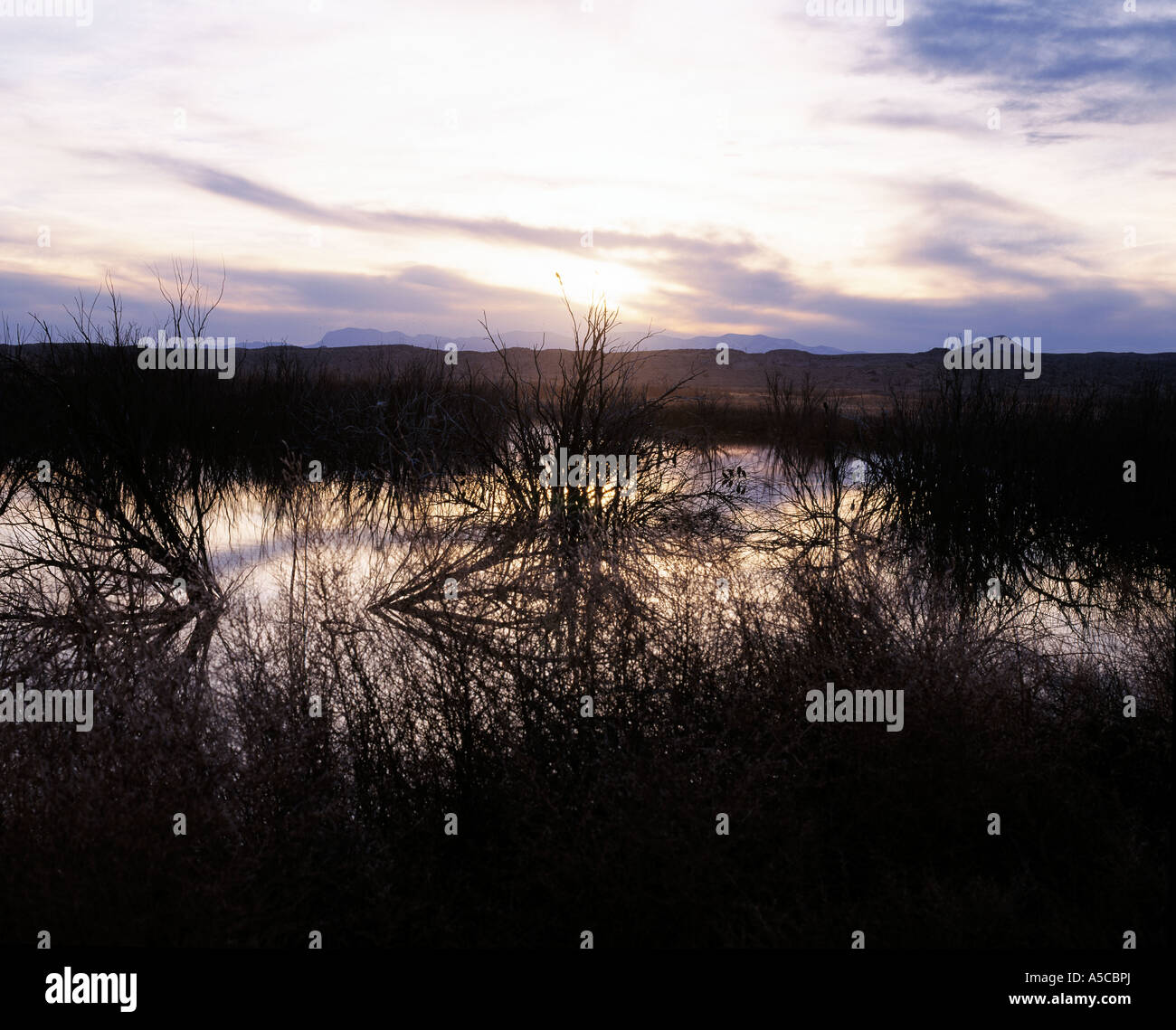 wild life refuge used by migratory waterfowl Stock Photo