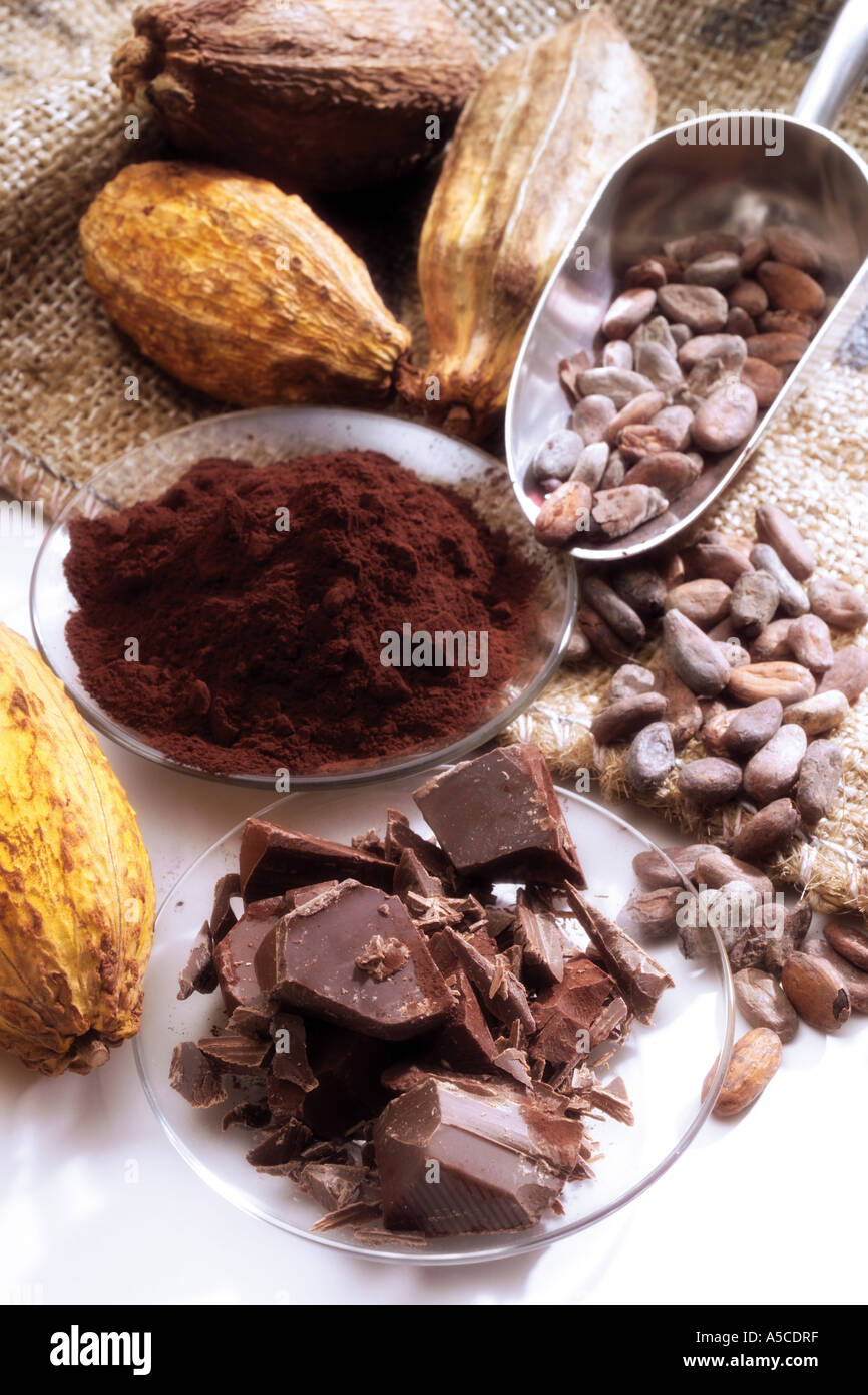 Cocoa Pods and Chocolate Product Stock Photo Alamy