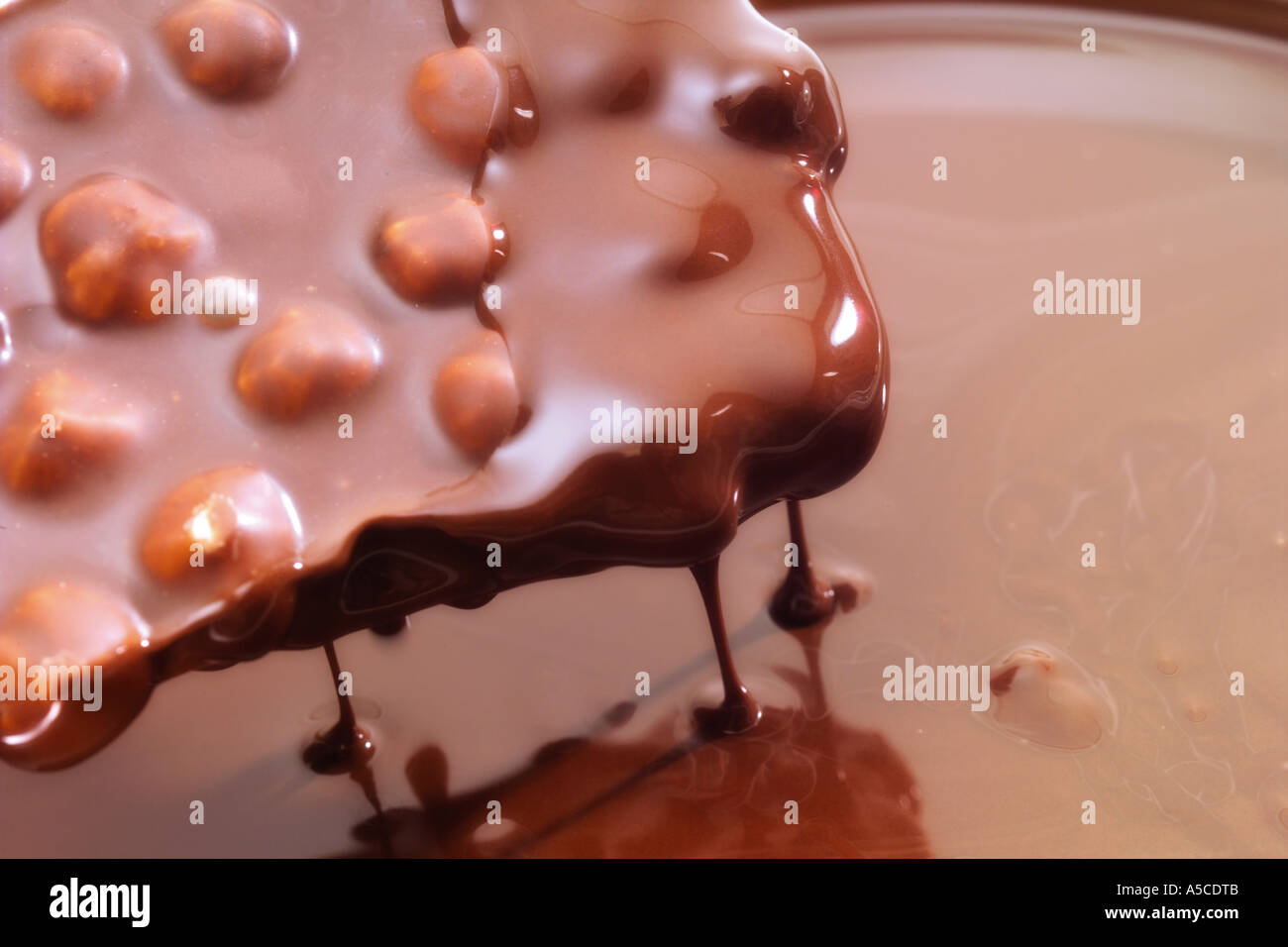 Chocolate bar with hazelnuts dipped Stock Photo