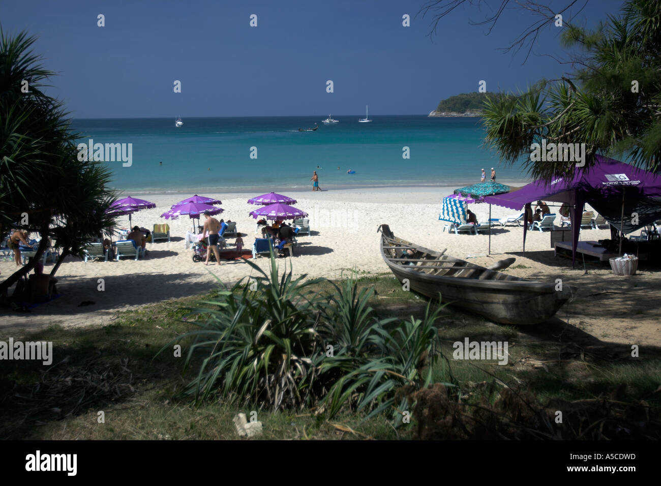 Purple umbrellas line Karon Beach Phuket Thailand Stock Photo - Alamy