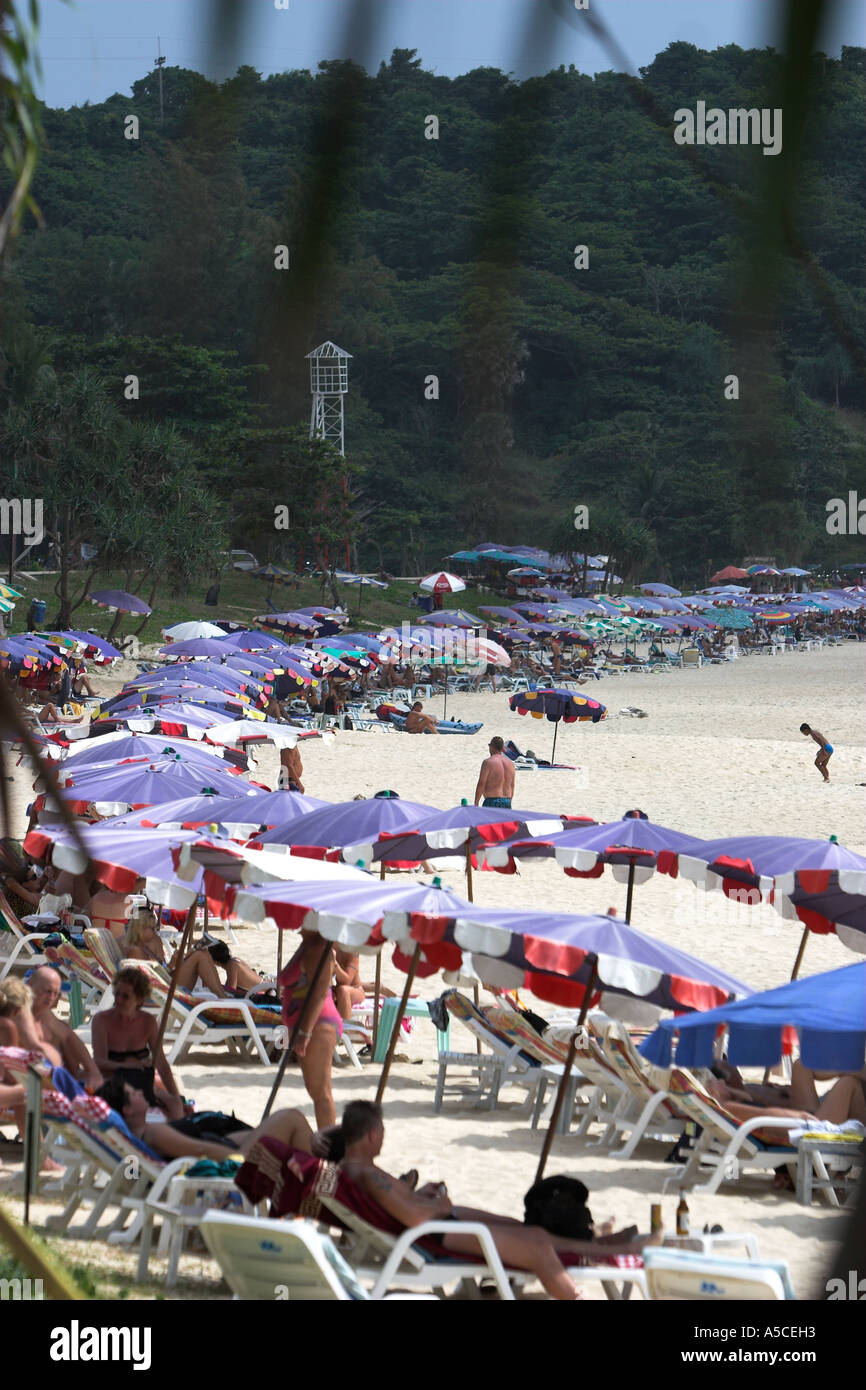 Umbrellas and sunloungers line white sand at Nai Han Beach Phuket Thailand Stock Photo
