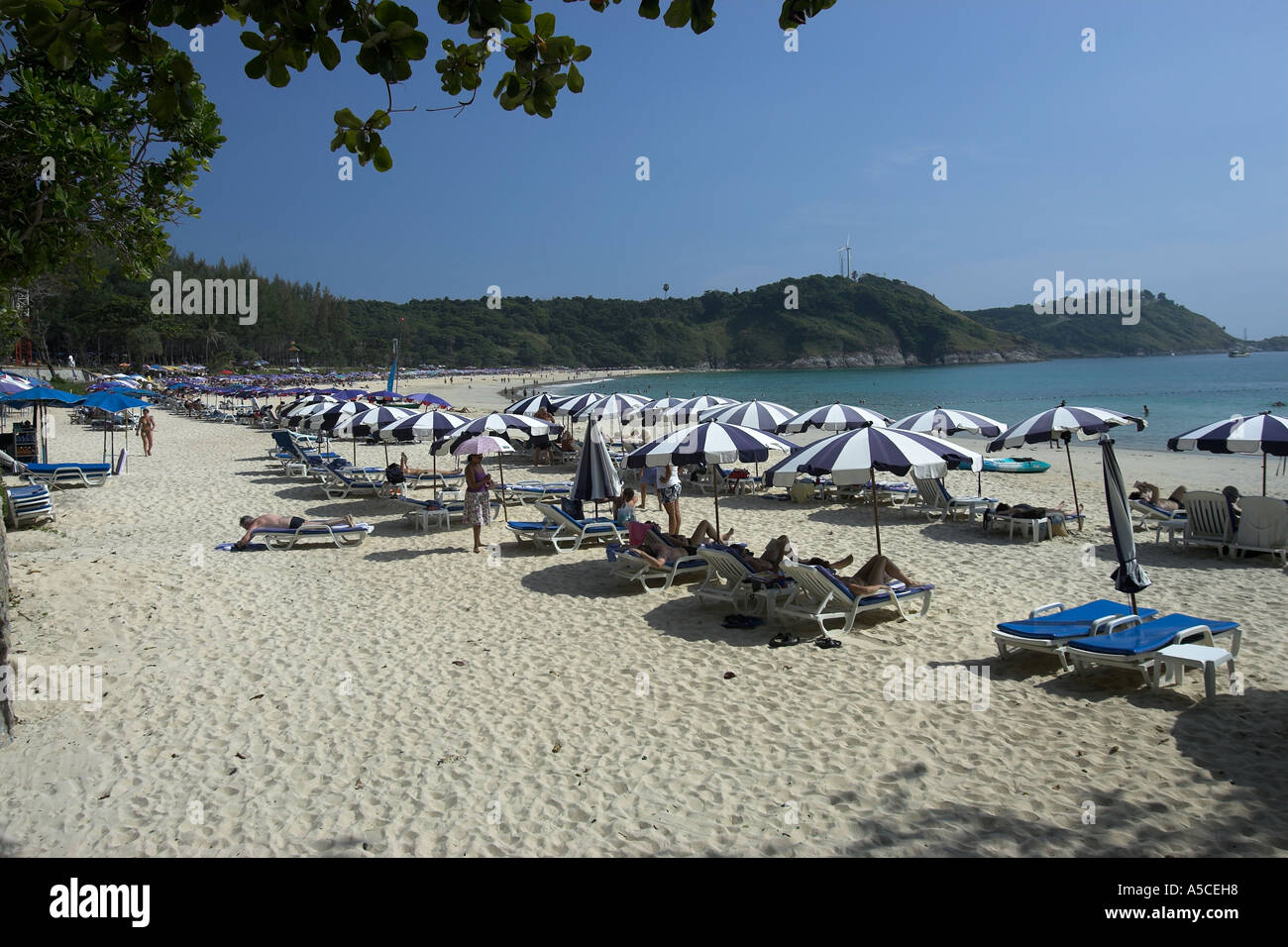 Umbrellas and sunloungers line white sand at Nai Han Beach Phuket Thailand Stock Photo