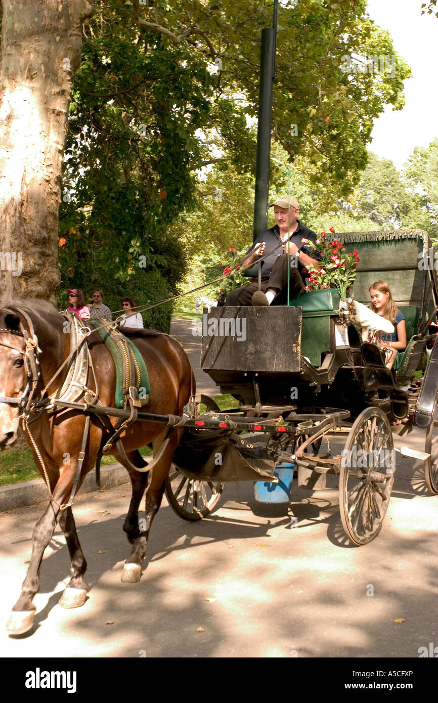 Horse buggy rides in new york hi-res stock photography and images - Alamy