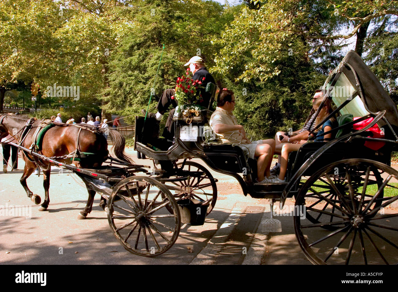 Horse and Carriage rides in Central Park New York City Stock Photo - Alamy