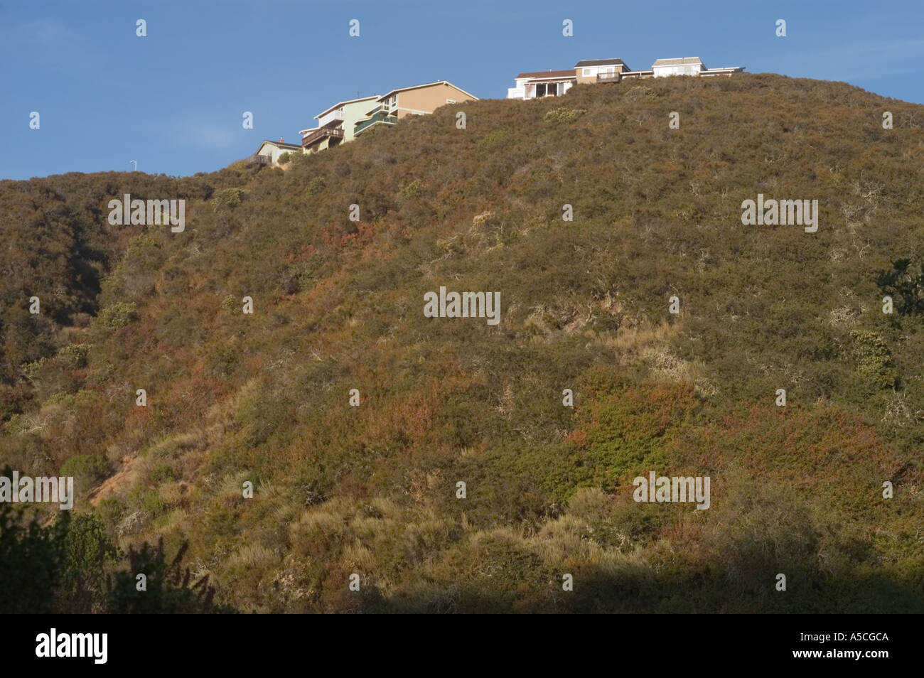 Bushy hillside hi-res stock photography and images - Alamy