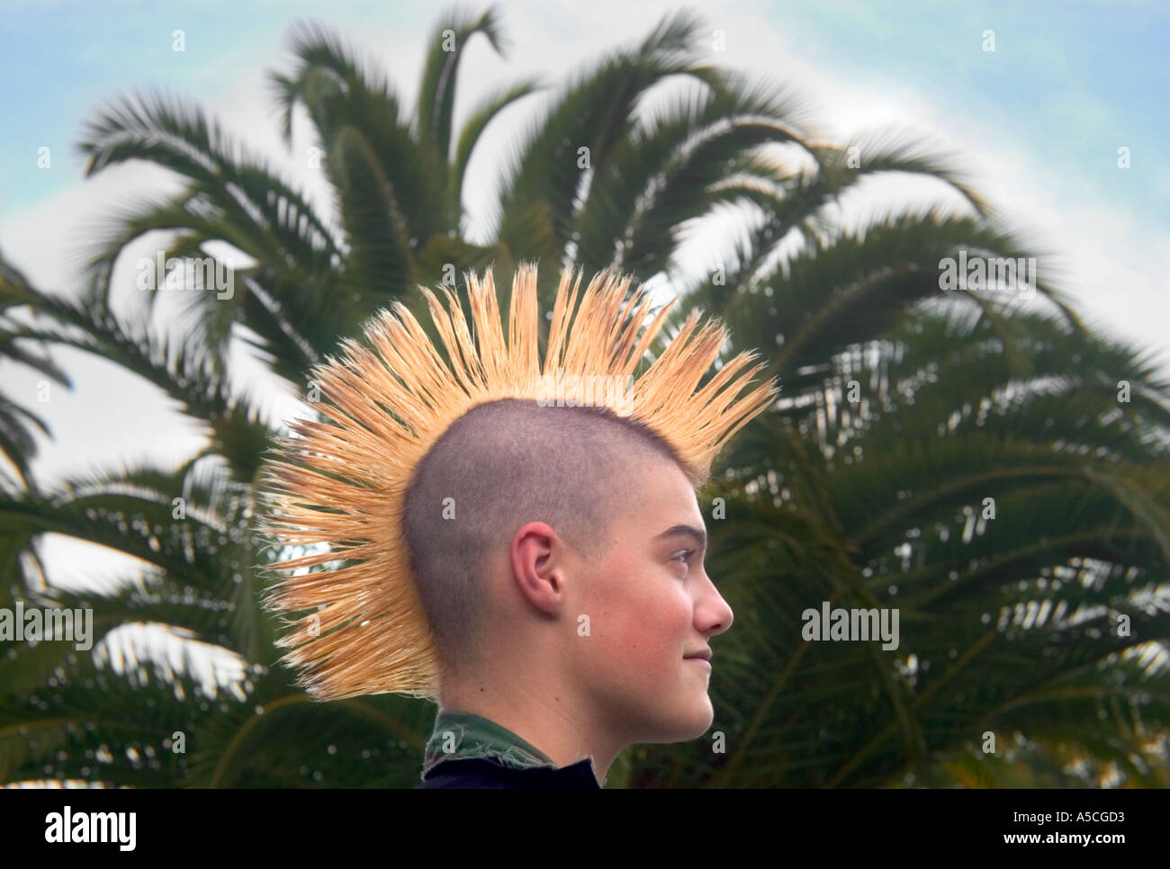 A color horizontal image of a boy with a big yellow Mohawk in profile in front of a big green palm tree Stock Photo