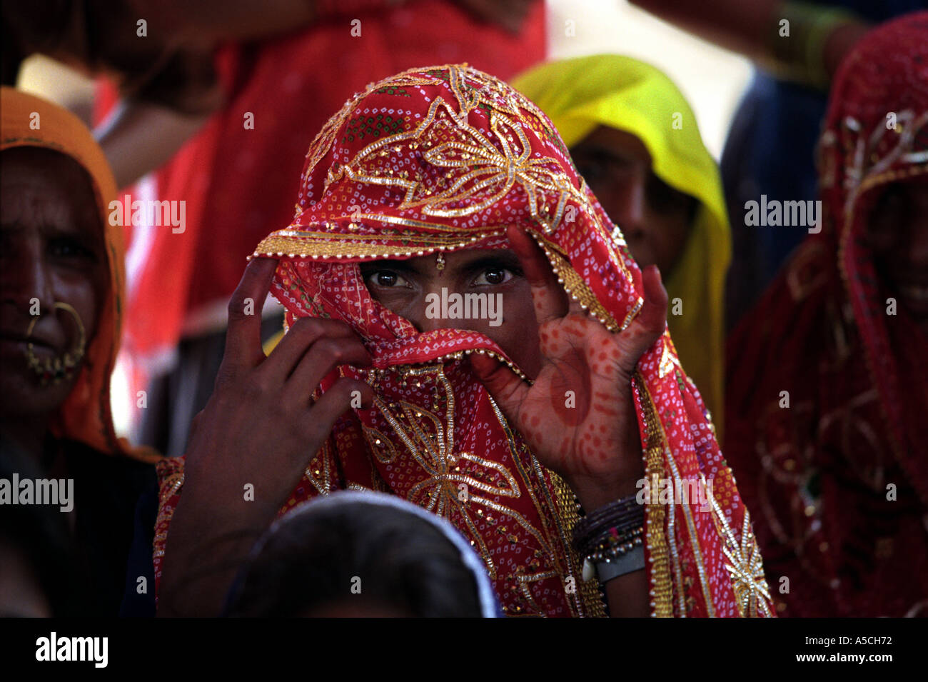 Ornately dressed guest at a Rajasthan wedding Stock Photo
