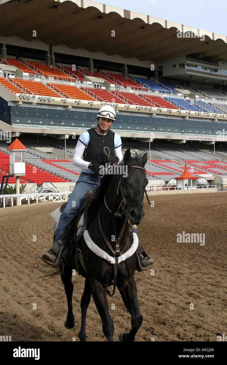 HORSES THOROUGHBRED RACING Calgary Alberta Canada Exercising the horses