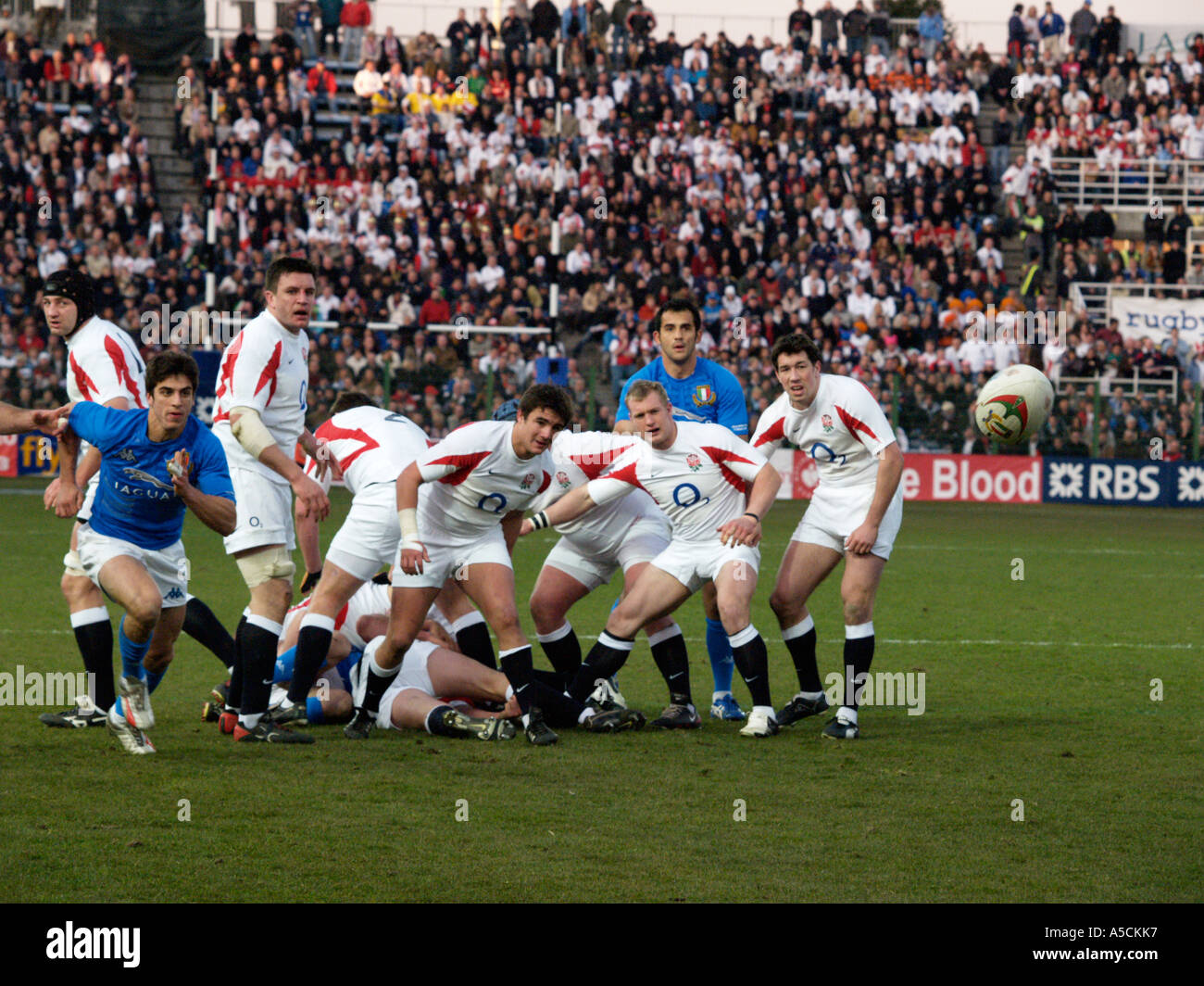 English pack watch ball fly out of ruck Italy v England 6 six nations rugby match 11 Feb 2006 Stock Photo